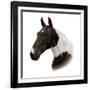 Ella-Aron Gadd-Framed Giclee Print