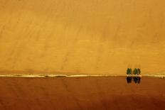 Camel caravan, Badain Jaran Desert, Inner Mongolia, China.-Ellen Anon-Photographic Print