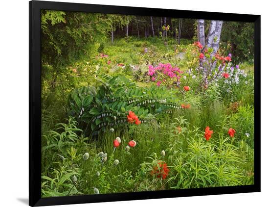 Premium Photographic Print, , large