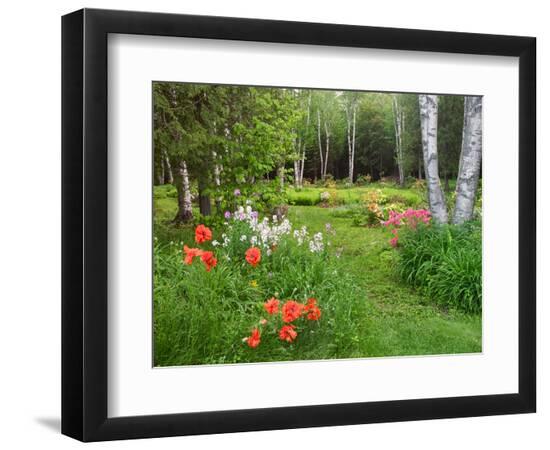 Premium Photographic Print, , large