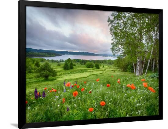 Premium Photographic Print, , large