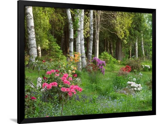 Premium Photographic Print, , large