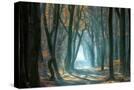 Stretched Canvas