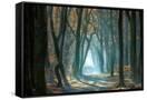 Canvas Black