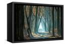 Canvas Black