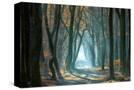 Stretched Canvas
