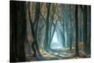 Stretched Canvas