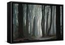 Canvas Black