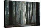 Stretched Canvas