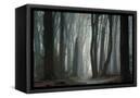 Canvas Black