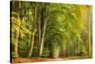 Stretched Canvas