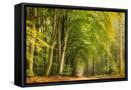 Canvas Black