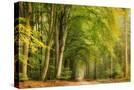 Stretched Canvas