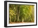 Black Frame