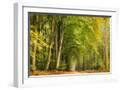 White Frame