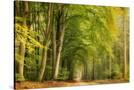 Stretched Canvas