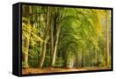 Canvas Black