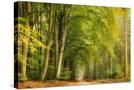 Stretched Canvas