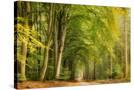 Stretched Canvas