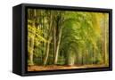 Canvas Black