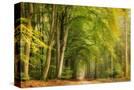 Stretched Canvas