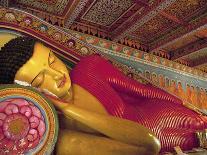 Anuradhapura, UNESCO World Heritage Site, Reclining Buddha Statue, Sri Lanka-Ellen Clark-Photographic Print