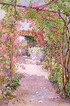 A Rose Arbour and Old Well, Venice-Ellen Fradgley-Framed Giclee Print