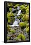 Essential Black