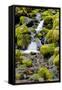Canvas Black