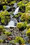 Just the Print