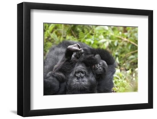 Premium Photographic Print, , large