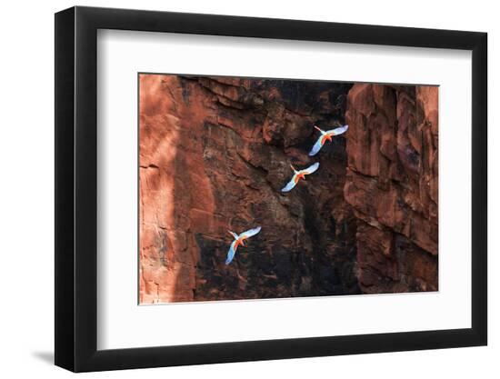 Premium Photographic Print, , large