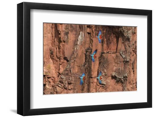 Photographic Print, , large