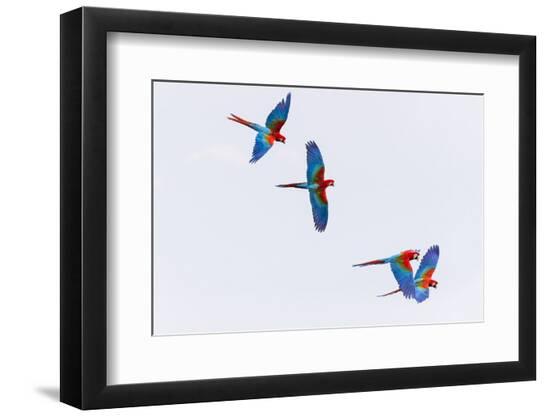 Photographic Print, , large