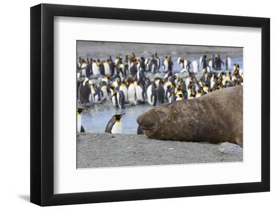 Photographic Print, , large