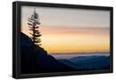 Essential Black