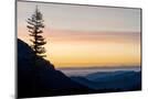 Wood Mount