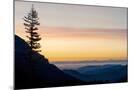 Wood Mount