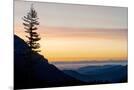 Wood Mount