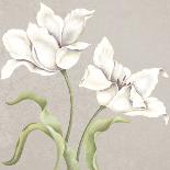 Soft Tulip I-Ellen Hudson-Giclee Print