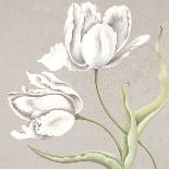 Soft Tulip I-Ellen Hudson-Giclee Print