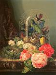 Still Life of Birds, Flowers and a Bird's Nest on a Table-Ellen Ladell-Giclee Print