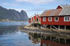 Rorbuer, traditional fishermnen's cottages now used for tourist accommodaton in Reine-Ellen Rooney-Photographic Print