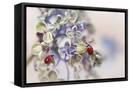 Framed Canvas