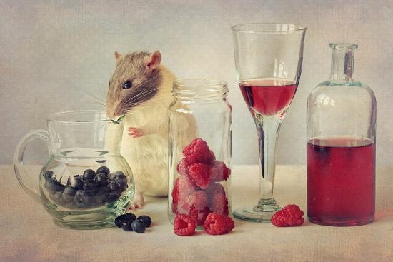 Premium Photographic Print, , large