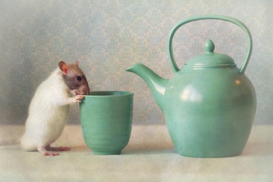 Photographic Print, , large