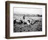 Ellensburg, WA, Goodwin Hogs, 1915-Asahel Curtis-Framed Giclee Print