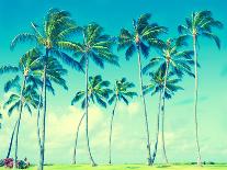 Tropical Palm Trees on the Miami Beach near the Ocean, Florida, Usa, Retro Styled-EllenSmile-Stretched Canvas