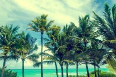Tropical Palm Trees on the Miami Beach near the Ocean, Florida, Usa, Retro Styled-EllenSmile-Stretched Canvas