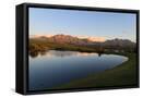 Framed Canvas